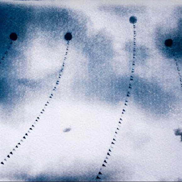 Meet your Posher, Amelia - Picture 1 of 1